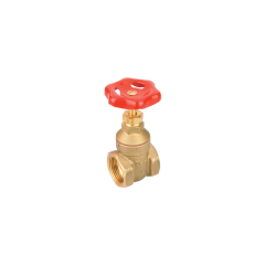 Turkoglu Brass Gate Valve DN40 - 1 1/2''
